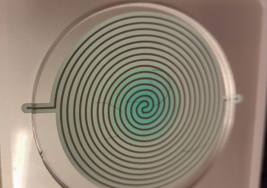 Hair follicle seen under the microscope — analysis included in the session
