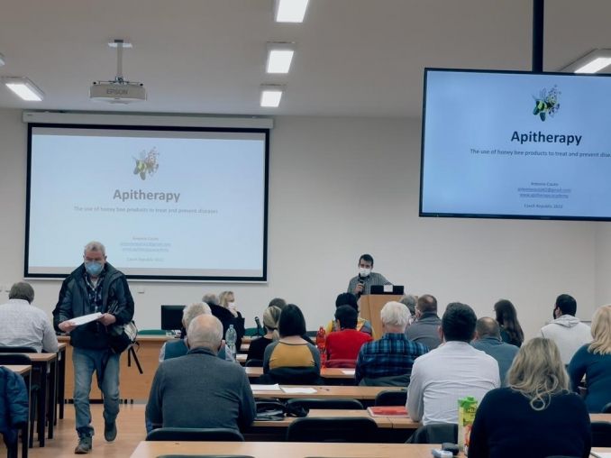 Apitherapy theory session for a group of participants